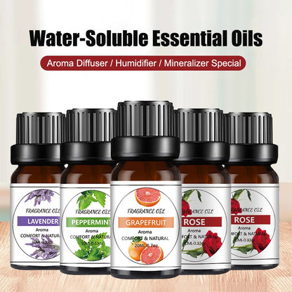 10ml Essential Oil Purifier Natural